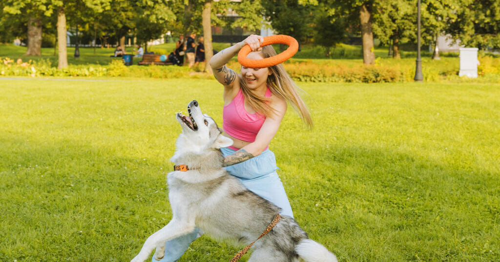 Pet care and supplies